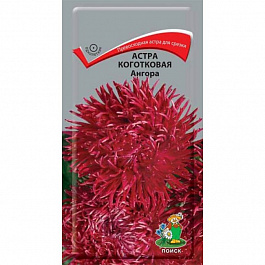 Астра коготковая Ангора
