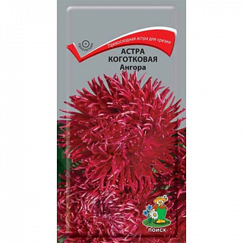 Астра коготковая Ангора