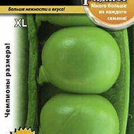 Горох лущильный Русский размер