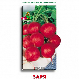 Редис Заря Редис Заря