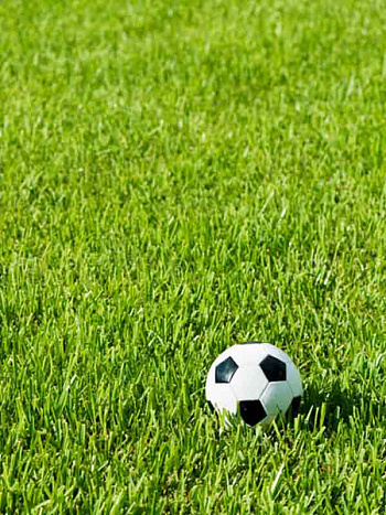 Газон Спорт