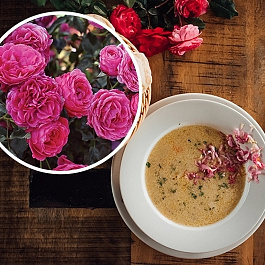 Роза флорибунда Кулинарная Дольче