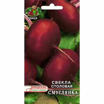 Свёкла столовая Смуглянка