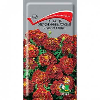 Бархатцы отклоненные махровые Скарлет София