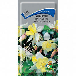 Аквилегия гибридная Желтая звезда