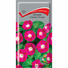 Ипомея Скарлет О`Хара