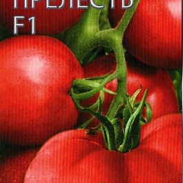 Томат (Помидор) обыкновенный Прелесть  F1