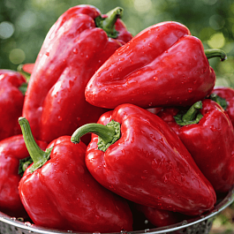 Перец сладкий Арсенал