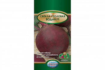 Свёкла столовая Водан F1