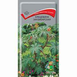 Клещевина занзибарская