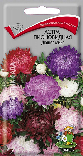 Астра пионовидная Дюшес микс
