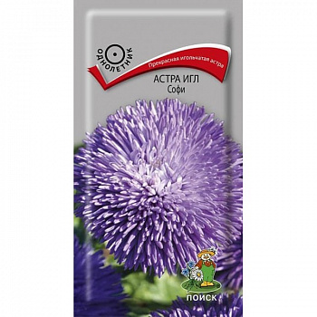 Астра игл Софи Астра игл Софи