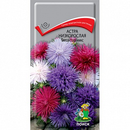 Астра низкорослая Тиеса стар микс Астра низкорослая Тиеса стар микс