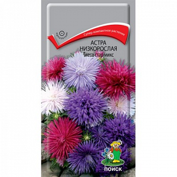 Астра низкорослая Тиеса стар микс