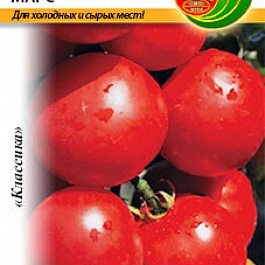 Томат (Помидор) обыкновенный Марс F1