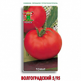 Томат Волгоградский 5/95