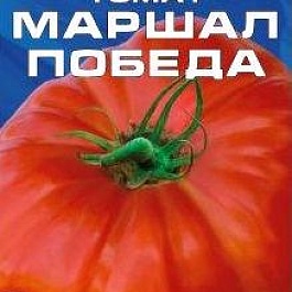 Томат (Помидор) обыкновенный Маршал Победа