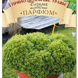 Базилик  Парфюм