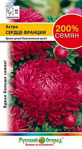 Астра Сердце Франции