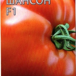 Томат (Помидор) обыкновенный Шансон F1