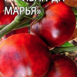 Томат (Помидор) обыкновенный Иван-да-Марья F1