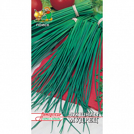 Лук шнитт Мудрец