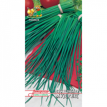 Лук шнитт Мудрец