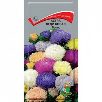 Астра Леди Корал Микс