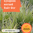 Бухарник мягкий Вайт Фог Бухарник мягкий Вайт Фог