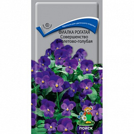Фиалка рогатая Совершенство фиолетово-голубая