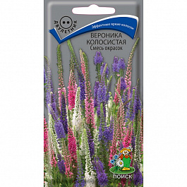 Вероника колосистая Смесь окрасок