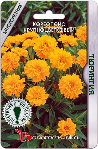 Кореопсис Тюрингия