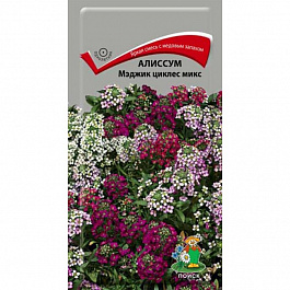 Алиссум Мэджик циклес микс