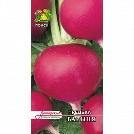 Редька китайская Барыня