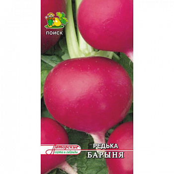 Редька китайская Барыня