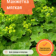 Манжетка мягкая Манжетка мягкая
