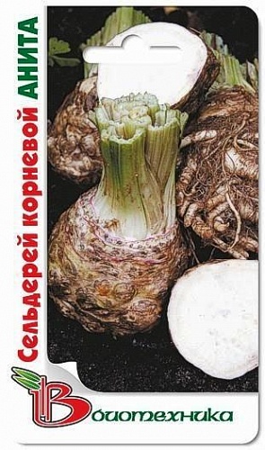 Сельдерей Корневой Анита