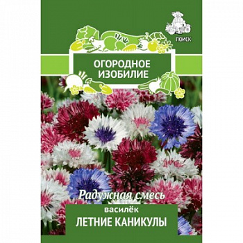 Василёк Летние Каникулы