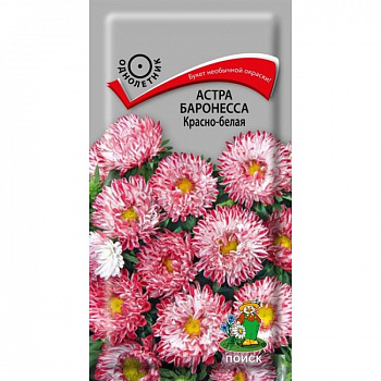 Астра Баронесса Красно-белая