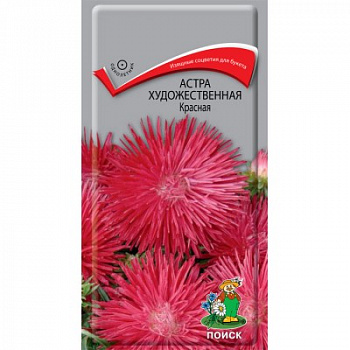 Астра художественная Красная