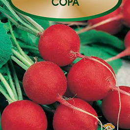 Редис Сора