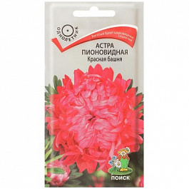 Астра пионовидная Красная башня