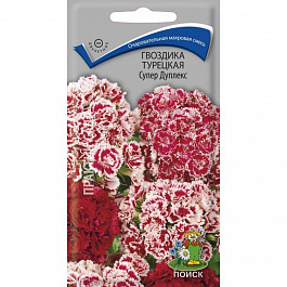 Гвоздика турецкая Супер Дуплекс