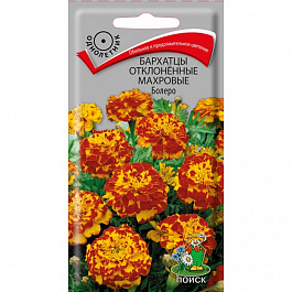 Бархатцы отклоненные махровые Болеро