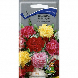 Гвоздика Гренадин Смесь окрасок