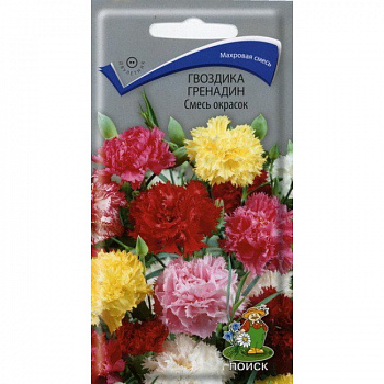 Гвоздика Гренадин Смесь окрасок