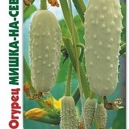 Огурец Гибридный Мишка-на-Севере F1