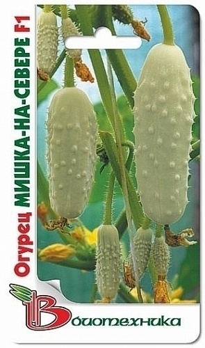 Огурец Гибридный Мишка-на-Севере F1