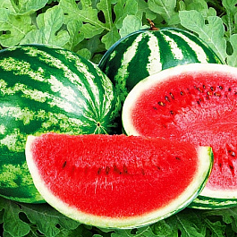 Арбуз Астраханский