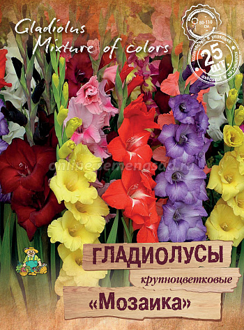 Гладиолус крупноцветковый Мозаика